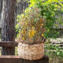 Artikel Plantekurv planter dekorativ kurv natur Ø18/23/29cm sæt med 3