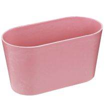Artikel Planteskål oval pink pynteskål plast 20×10×11cm 3stk