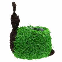 Artikel Plantekasse Snegl Vine Naturlig, Grøn 21x14cm H26cm