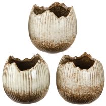 Artikel Plantepotte Keramisk Æg Broken Creme Brun Ø9,5cm 3 Stk
