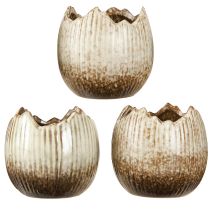Artikel Plantepotte Keramisk Æg Broken Creme Brun Ø9,5cm 3 Stk