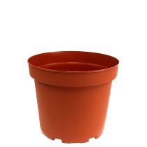 Plantepotte plast indvendig pot Ø10,5cm 10stk