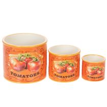 Artikel Tomatplantepottesæt, keramiske dekorative blomsterpotter til køkken og retroindretning, 14 cm, sæt med 3