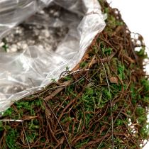 Plantebølgeranke, mos 45cm x 18cm H7cm