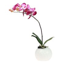 Kunstige orkideer i potte Phalaenopsis kunstige blomster orkideer pink 34cm