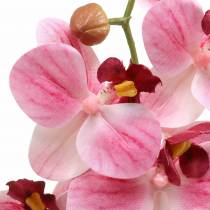 Kunstig orkidégren Phaelaenopsis pink H49cm