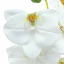 Kunstig orkidégren Phaelaenopsis hvid H49cm
