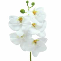 Kunstig orkidégren Phaelaenopsis hvid H49cm