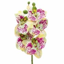 Kunstig orkidégren Phaelaenopsis Grøn Pink H49cm