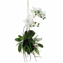 Orkidé med bregne og moskugle kunsthvid hængende 64cm