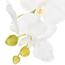 Artikel Kunstig orkidéplante, bedragerisk realistisk, til kontor- og stuedekoration, 62 cm