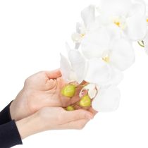 Artikel Kunstig orkidéplante, bedragerisk realistisk, til kontor- og stuedekoration, 62 cm