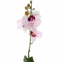 Kunstig orkidé phaleanopsis hvid, lilla 43 cm
