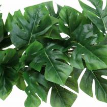 Philodendron bøjle grøn 85cm