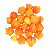Artikel Physalis Orange Assorteret 22 stk. Dekorative kunstige blomsterbæger