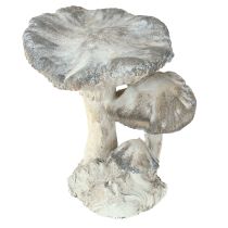 Artikel Svampedekoration støbt sten grå hvidvasket 21,5×18×22 cm