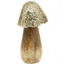 Dekorativt svamp metal træ gyldent, naturligt dekorativt display 13,5 cm