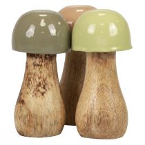 Artikel Træsvampe dekorative svampe træbeige, grøn Ø5cm H10,5cm 6 stk.