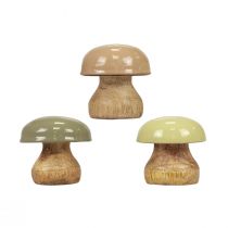 Træsvampe Deco svampe Træ Deco Beige, Grøn Ø5cm H5,5cm 12stk