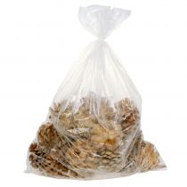 Artikel Kogler Pinus Pinea kogler creme blandet 5-18cm 25 stk