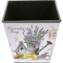 Artikel Plantekrukke lavendel motiv, firkantet dekorativ potte, plast cachepot H13cm B13,5cm