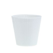 Artikel Plisserede manchetter hvide 10,5cm 100 stk