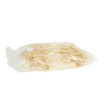 Artikel Plumosum 1 bleget 25 stk.