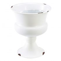 Kop vase dekorativ kop hvid rust Ø13,5cm H15cm Shabby Chic