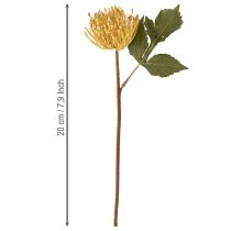 Artikel Protea kunstig Leucospermum nålepude gul 30 cm 6 stk