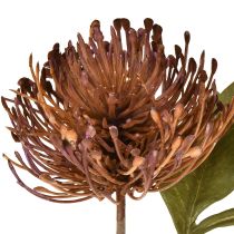 Artikel Protea kunstig nålepude Leucospermum lilla 30 cm 6 stk