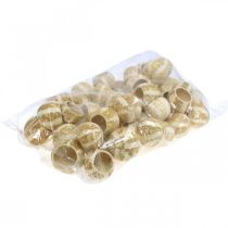 Artikel Græskardekoration Klokkekop Græskarkop bleget 50 stk