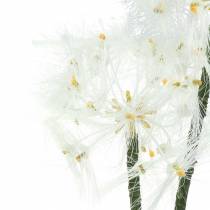 Artikel Kunstig eng blomst kæmpe blowball hvid 57cm