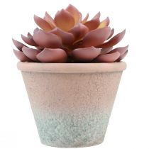 Artikel Sukkulent plante i potte Echeveria kunstig rød årgang Ø15cm H16cm