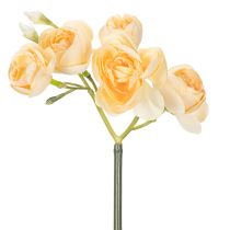 Artikel Ranunkel blomstergren til dekorative vasearrangementer, 32 cm, 5 stk.