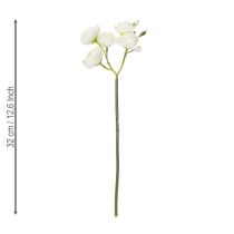 Artikel Kunstig Ranunkelbuket, Langtidsholdbar Blomsterdekoration til Foråret, 32 cm, 5 Stk.