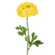 Artikel Kunstig ranunkel som enkelt blomst til elegant og vedligeholdelsesfri dekoration, 51 cm, 3 stk.