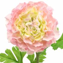 Artikel Ranunculus pink H45cm