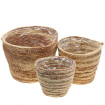 Artikel Plantekurv rattan natur/brun Ø26/22/16cm 3stk