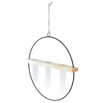 Artikel Reagensglas dekorativ vase dekorativ ring metal sort 29×4×29cm