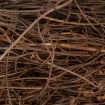 Artikel Naturlig vinrankrans Ø15 cm, sæt med 10 - Ideel til efterår, jul, påske og begravelsesdekorationer