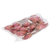 Artikel Repens Erika 25 stk