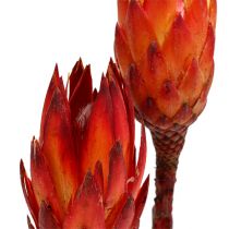 Repens rød 2-tonet 25 stk