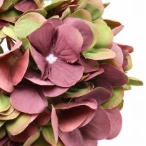 Artikel Hortensia kunstig pink, bordeaux kunstig blomst stor 80cm