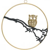Vinduesdekoration ugle på gren efterår, dekorativ ring 22cm