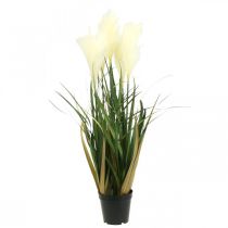 Artikel Potted Sedge Grass Kunstig potteplantecreme, Grøn 79cm