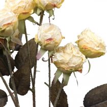 Artikel Kunstige roser visne Drylook 9 kronblade creme 69cm