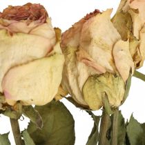 Dekorative roser, tørret blomst, tørrede roser, Valentinsdag, begravelsesblomster, rustikke roser gul-pink L48cm 5 stk.