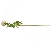 Artikel Rose Creme Silke Blomst Kunstig Rose L74cm Ø7cm