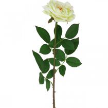 Kunstrose, dekorativ rose, silkeblomst cremehvid, grøn L72cm Ø12cm