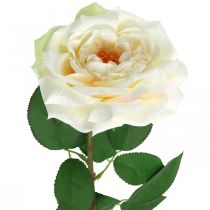 Cremet hvid abrikosrose, silkeblomst, kunstige roser L72cm Ø12cm